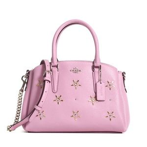 Coach stud sage bag tulip